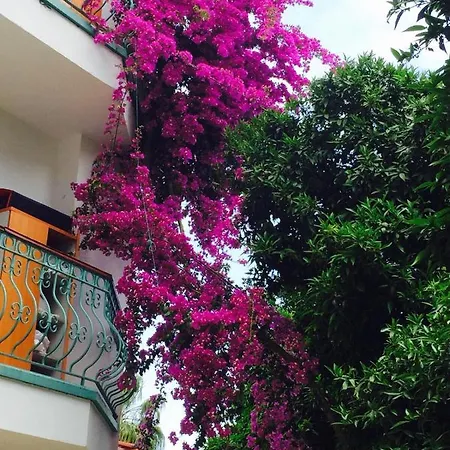 Ipek Kemer